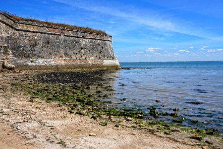 Coast Sea Shore Promontory