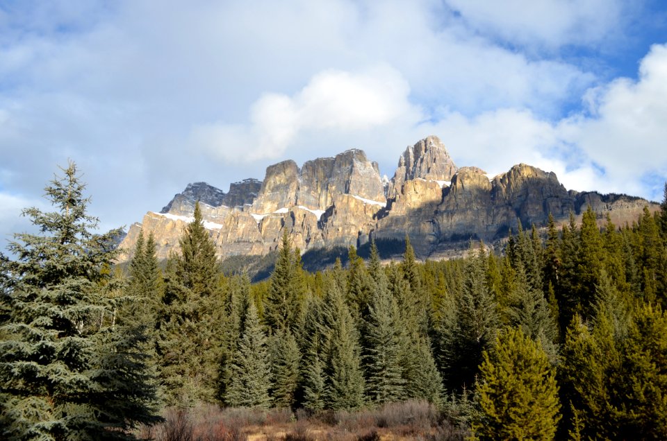 Mountainous Landforms Mountain Wilderness Tree