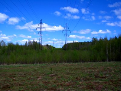 Grassland Overhead Power Line Sky Ecosystem