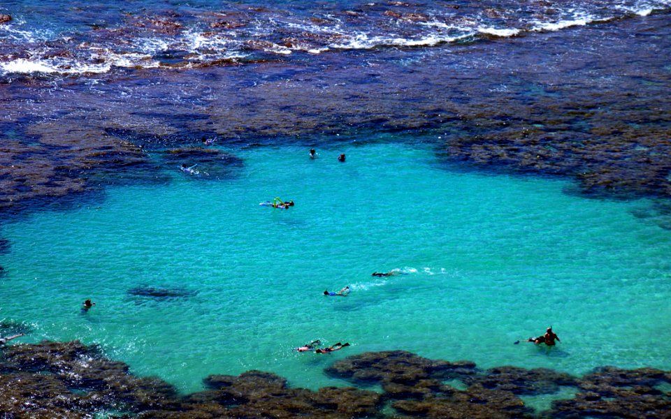 Group Of People On Body Of Water