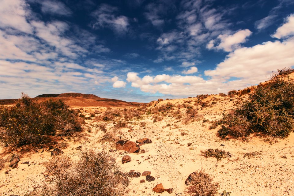 Desert Field Under Cloudy Sky photo