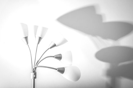 White 5-light Floor Lamp Near White Painted Wall