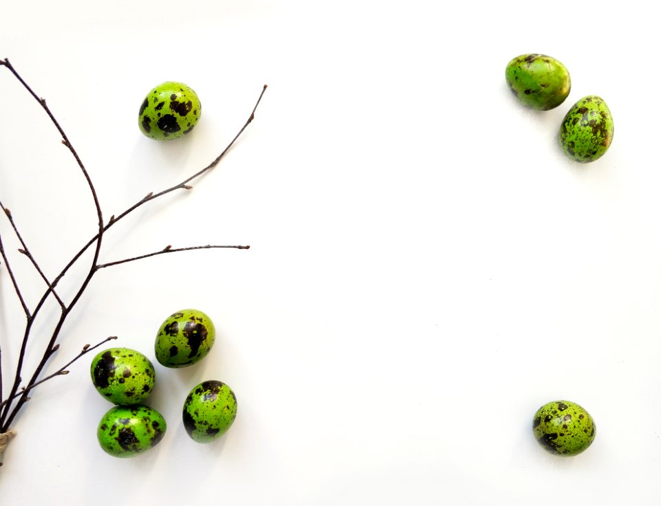 Eight Quail Eggs And Black Twigs