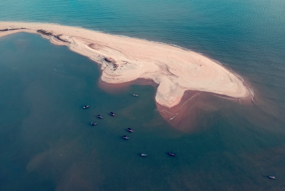 Whale Island Bird Eye Photography photo