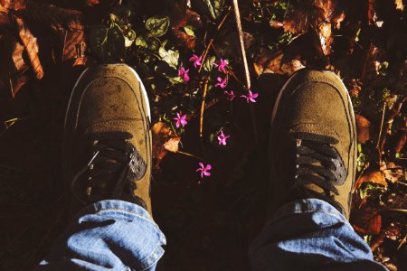 Person Wearing Pair Of Brown Suede Sneakers photo