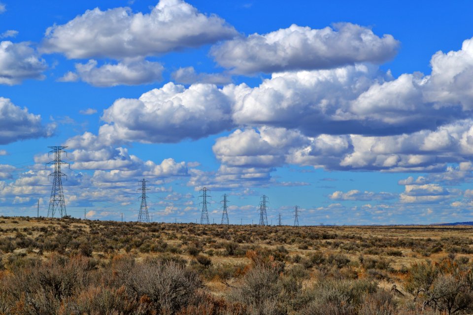Black Electric Posts Under White Clouds