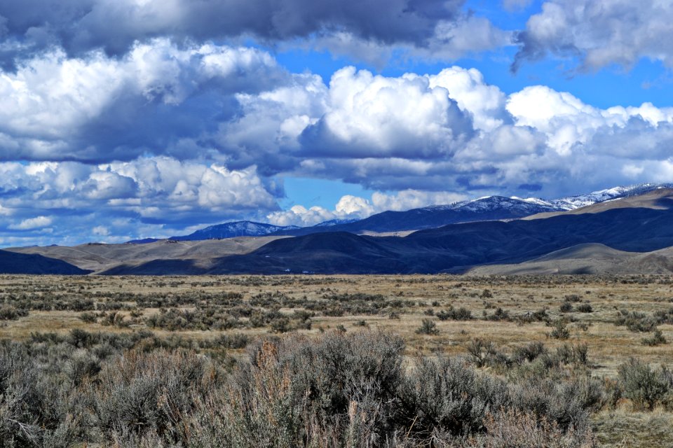 Grass Field And Mountains Under Cloudy Sky