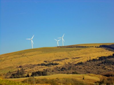 Three White Windmills On Green Field Under Blue Sky photo