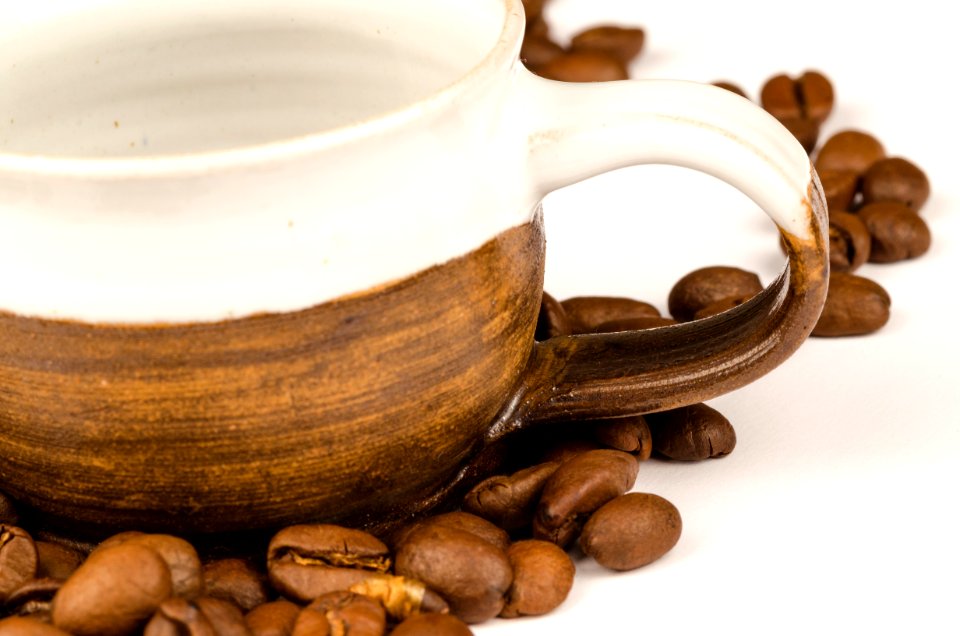 Brown Nuts And Brown Ceramic Tea Cup