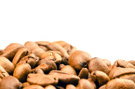 Selective Focus Photography Of Coffee Beans photo