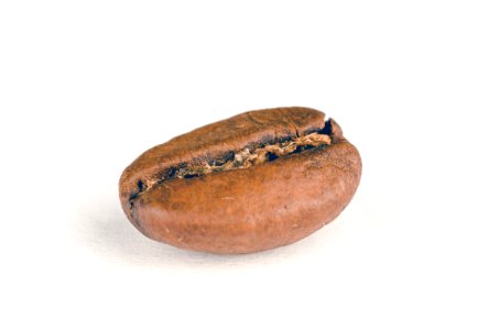 Oval Brown Stone photo