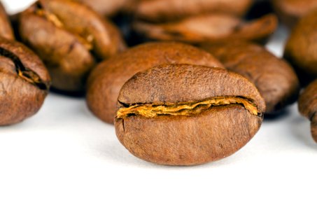 Brown Coffee Beans Lot