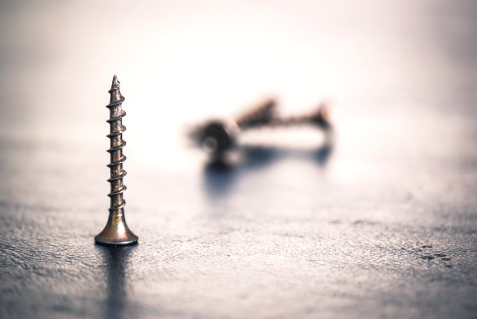 Shallow Focus Photo Of