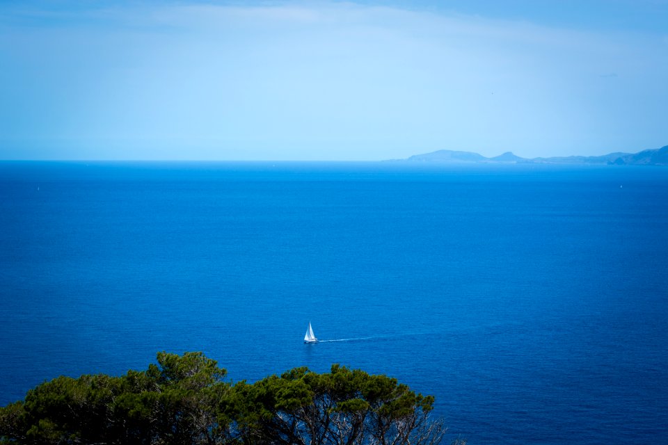White Sailboat On Body Of Water