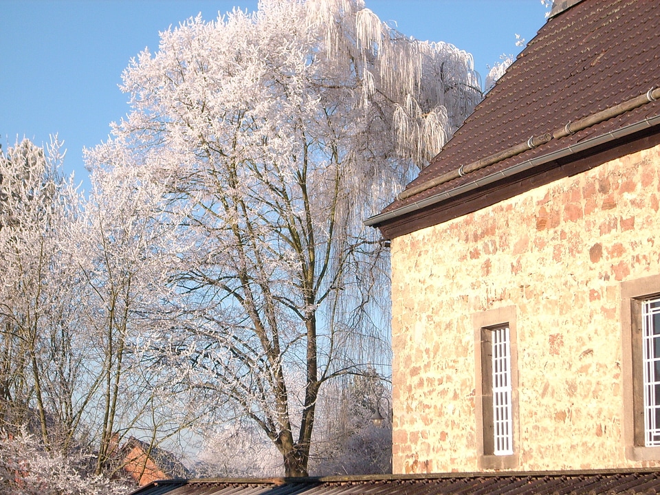 Church tree sky
