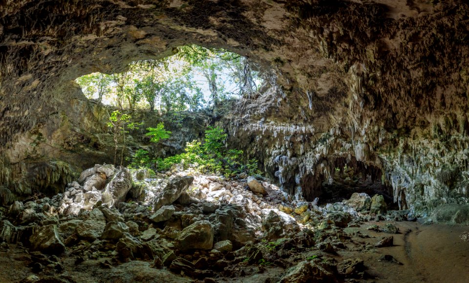 Cave Near Trees photo