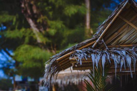 Selective Focus Photo Of Brown Nipa Hut