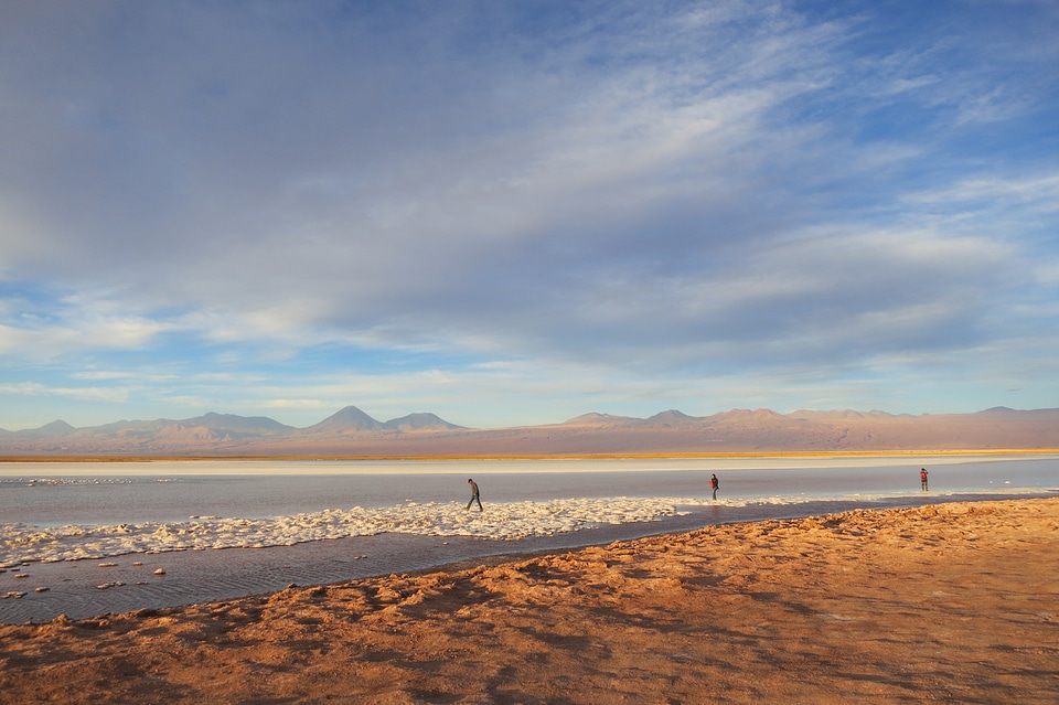Dry chile landscape