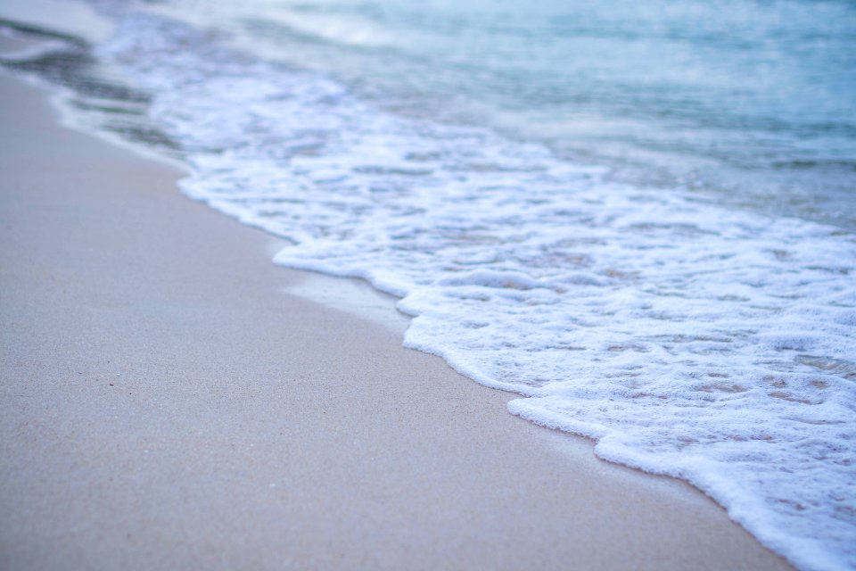 Closeup Photo Of Seashore