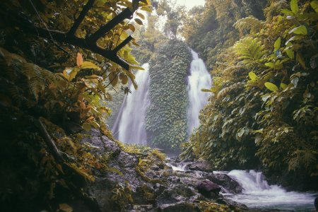 Photo Of Falls Surrounded With Green Trees photo