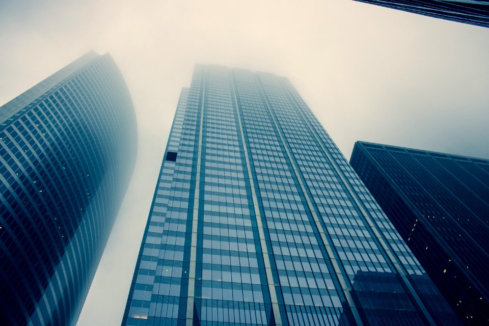 Worm View Of Building