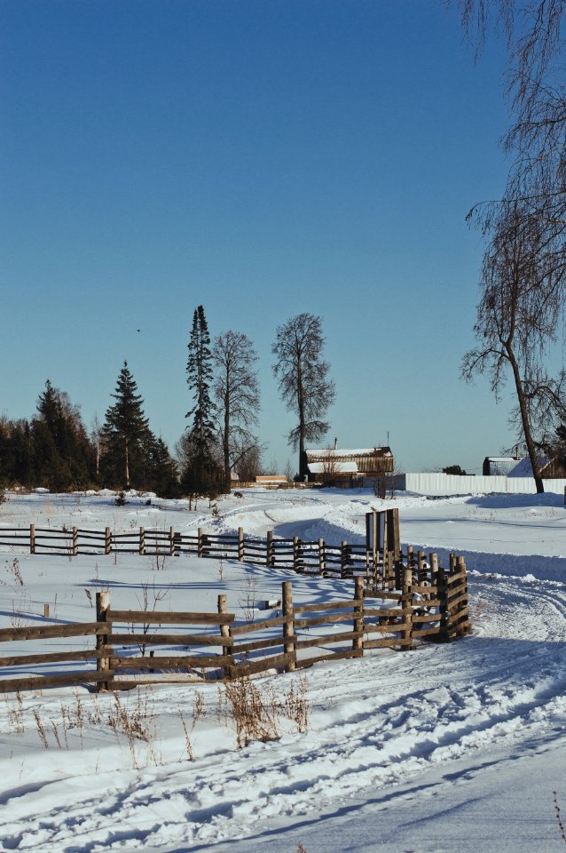 Brown Wooden Fence During Winter