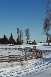 Brown Wooden Fence During Winter photo
