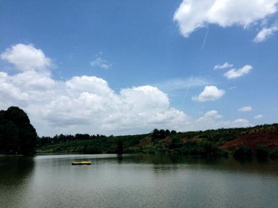 Landscape Photography Of Lake Surrounded By Trees photo