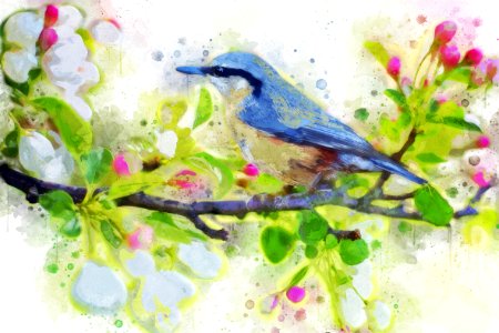 Bird Fauna Watercolor Paint Flora