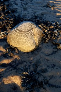 Rock Sand Water Reflection