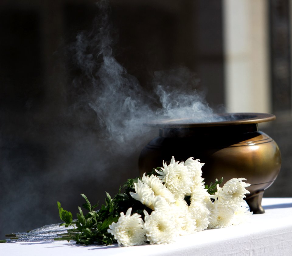 Still Life Photography