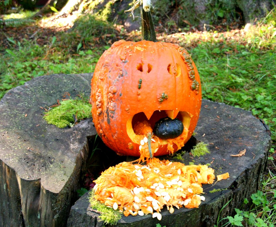 Pumpkin Calabaza Cucurbita Winter Squash