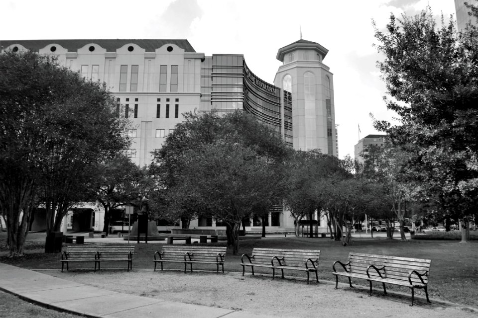 Landmark Black And White Tree Monochrome Photography