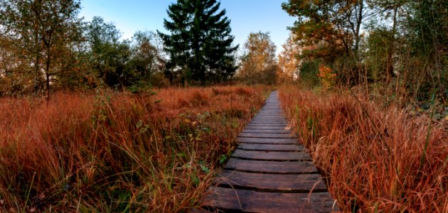 Path Nature Reserve Ecosystem Wilderness