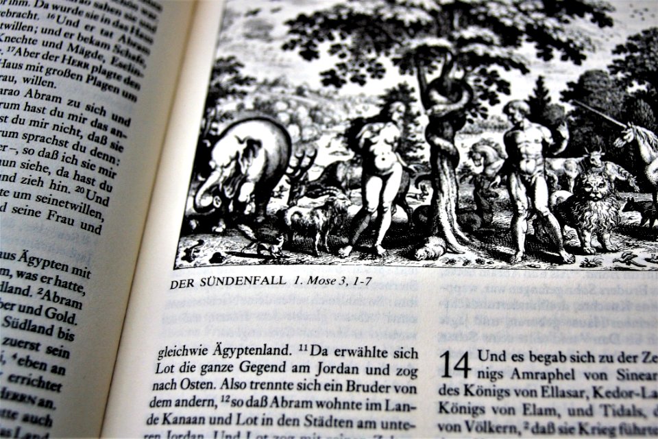 Text History Font Tree
