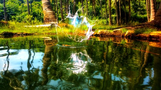 Reflection Nature Water Body Of Water photo