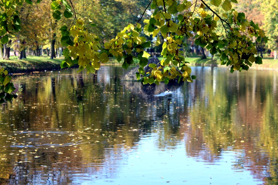 Reflection Water Waterway Nature