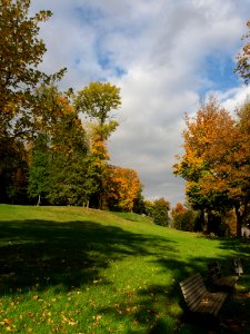 Nature Leaf Sky Autumn photo