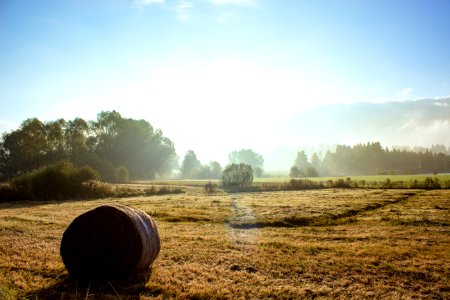 Field Hay Morning Sky
