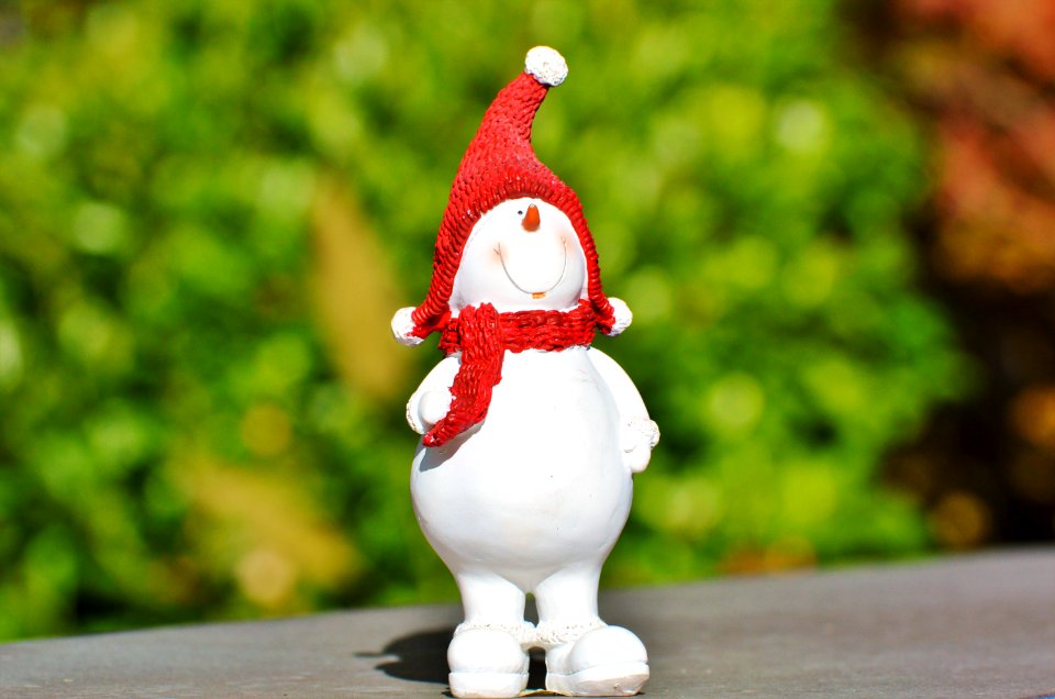 Christmas Lawn Ornament Flightless Bird Christmas Ornament