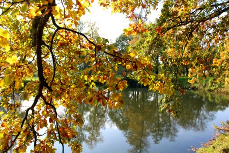 Reflection Nature Water Autumn photo