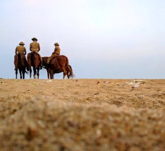 Group Of Horsemen On Desert photo