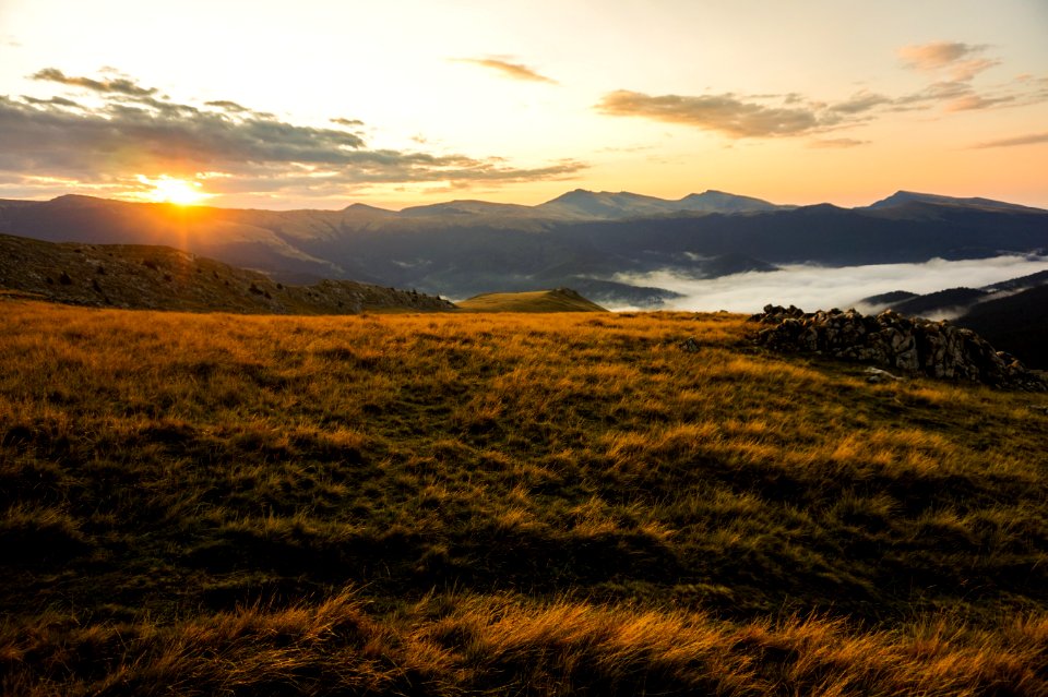 Brown Grass Field During Golden Hour photo