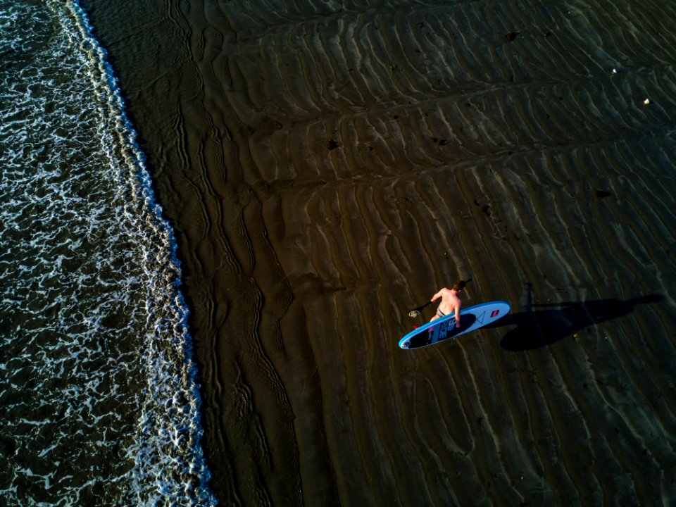 Person Holding Surfboard Near Seashore