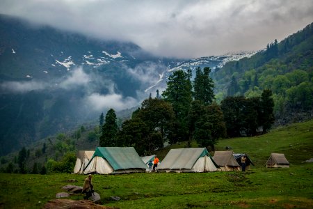 Green And White Tents Near Trees