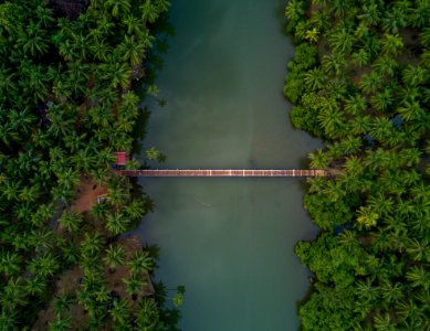 Aerial Photography Of Brown Wooden Foot Bridge Connecting Two Forests photo