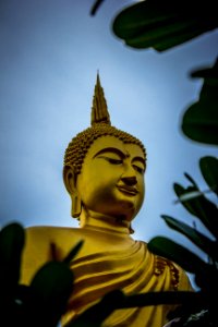 Gautama Buddha Statue photo