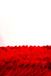 Red Textile