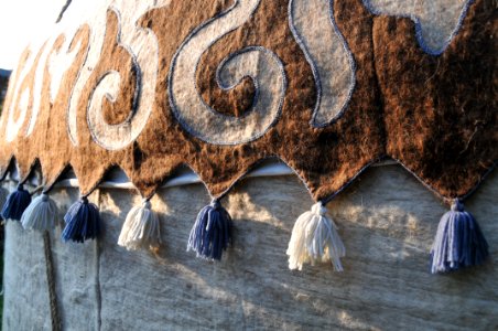 Wood Formation Stock Photography Arch