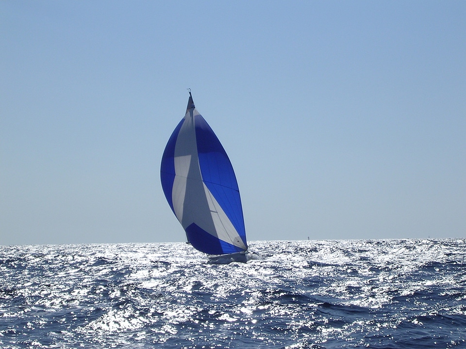 Sea boats browse